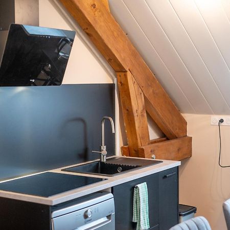 Appartement Balneo-Detente Sainte-Helene-du-Lac Dış mekan fotoğraf